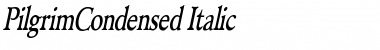 PilgrimCondensed Italic Font