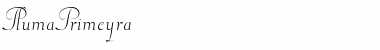 Download PlumaPrimeyra Font Download PlumaPrimeyra Font