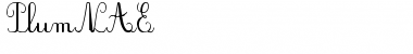 Download PlumNAE Font Download PlumNAE Font