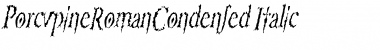 Download PorcupineRomanCondensed Font