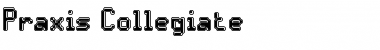 Praxis Regular Font