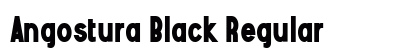 Angostura Black Regular