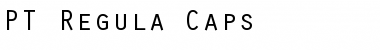 PT Regula Caps Font