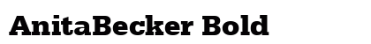 AnitaBecker Bold preview