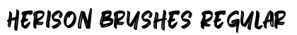 Herison Brushes Regular preview