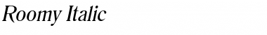 Roomy Italic Font