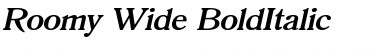 Roomy Wide BoldItalic Font