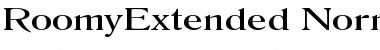 RoomyExtended Normal Font