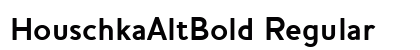 HouschkaAltBold Regular preview