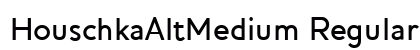 HouschkaAltMedium Regular preview