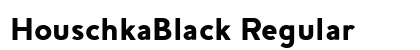 HouschkaBlack Regular preview