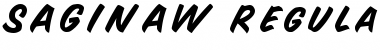 SAGINAW Regular Font SAGINAW Regular Font