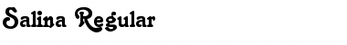 Download Salina Font Download Salina Font