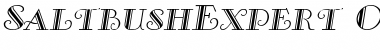 SaltbushExpert Font