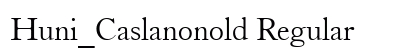 Huni_Caslanonold Regular preview