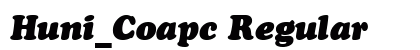 Huni_Coapc Regular preview