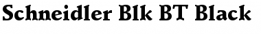 Schneidler Blk BT Font