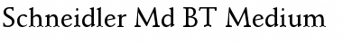 Schneidler Md BT Font