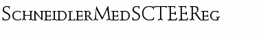 SchneidlerMedSCTEEReg Regular Font