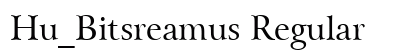 Hu_Bitsreamus Regular preview