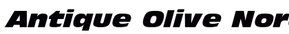 Antique Olive Nord Italic Preview