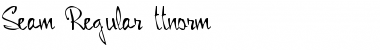 Seam Regular Font