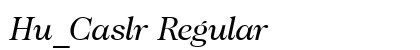 Hu_Caslr Regular preview