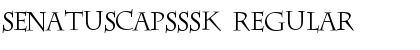 SenatusCapsSSK Font