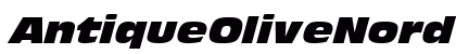 AntiqueOliveNord RomanItalic preview