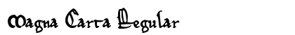 Magna Carta Regular preview