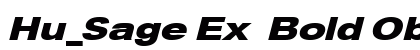 Hu_Sage Ex Bold Oblique Regular preview