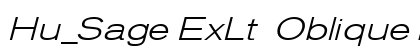 Hu_Sage ExLt  Oblique Regular preview