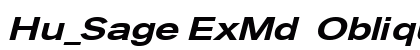 Hu_Sage ExMd  Oblique Regular preview