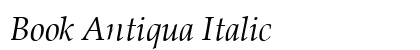 Book Antiqua Italic Preview