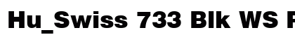 Hu_Swiss 733 Blk WS Regular preview