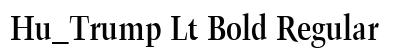 Hu_Trump Lt Bold Regular preview