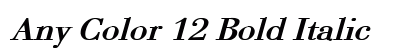 Any Color 12 Bold Italic