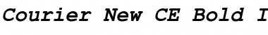 Courier New CE Font