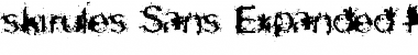skirules-Sans Expanded Medium Font