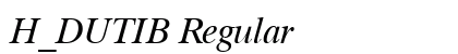 H_DUTIB Regular preview