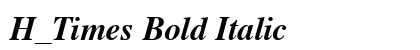 H_Times Bold Italic preview