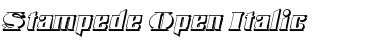 Stampede Open Italic Regular Font