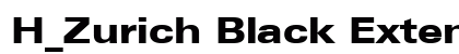 H_Zurich Black Extended BT Regular preview