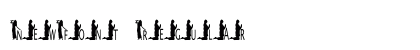 NewFont Regular Preview