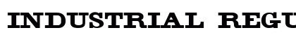 Industrial Regular preview