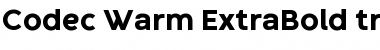 Codec Warm Trial Font