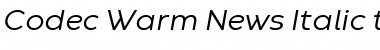 Codec Warm Trial News Italic Font Codec Warm Trial News Italic Font