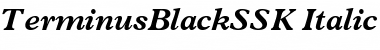 TerminusBlackSSK Italic Font