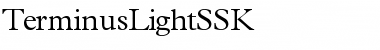 TerminusLightSSK Font