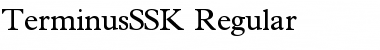 TerminusSSK Font